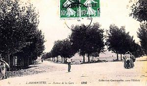 Lamoriciere - Avenue de la Gare